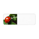 Search for beetle return address labels Leaf