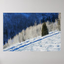 Search for ski art Trees