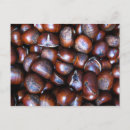 Search for chestnut postcards Food