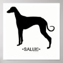 Search for saluki art Pets