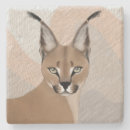 Search for big cat coasters Africa