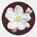 Search for apple blossom stickers White