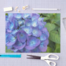 Search for blue hydrangea tissue paper Botanical