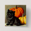 Search for pumpkin cat badges Spooky