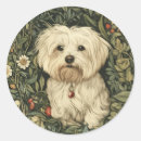 Search for maltese dog stickers Vintage