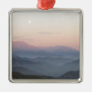 Search for scenic christmas tree decorations Photography