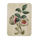 Search for magents magnets Flowers
