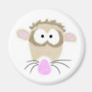 Search for ferrets magnets Rodent