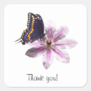 Search for butterflies and flowers stickers Pink