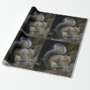Search for squirrel wrapping paper Wildlife