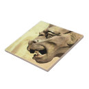 Search for gothic home decor Architecture