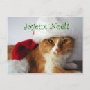Search for french cat cards Kitty