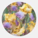 Search for iris garden stickers Summer
