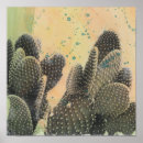 Search for desert cactus posters Succulents
