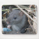 Search for rat mousepads Animals
