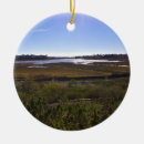 Search for preservation christmas tree decorations Preserve