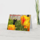 Search for black cat halloween cards Animals