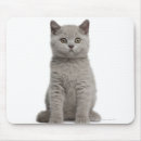 Search for looking old mousepads Looking at camera
