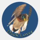Search for drakes stickers Mallards