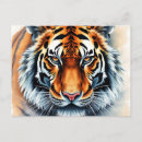 Search for tiger eyes postcards Orange