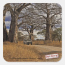 Search for baobab stickers Tree