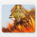 Search for beetle mousepads Yellow