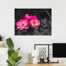 Search for floret posters Blossom