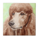 Search for poodles tiles Canine