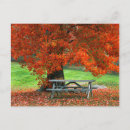 Search for park bench Country