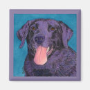 Search for black lab magnets Retriever