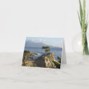 Search for cypress cards Tree