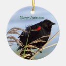 Search for wing christmas tree decorations Wildlife
