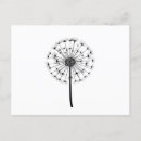 Search for black line drawing postcards Floral