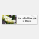 Search for lily bumper stickers Lilies