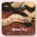 Search for python home living Boa