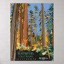 Search for reserves posters Forest
