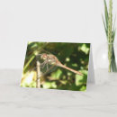Search for wing photo cards Wildlife