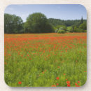 Search for agriculture coasters Italy