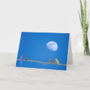 Search for blue jay birthday cards Birder