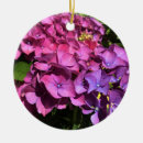 Search for hydrangea christmas tree decorations Nature