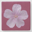 Search for geranium coasters Pink