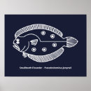 Search for fun fish posters Sea