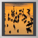 Search for bird silhouettes posters Animals