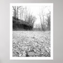 Search for bank photography Trees