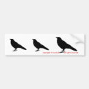 Search for crows bumper stickers Black