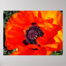 Search for close art Petals