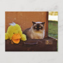 Search for suitcases postcards Animal