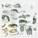 Search for zoology stickers English