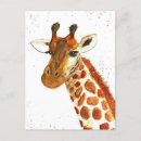 Search for safari jungle postcards Animal