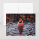 Search for bath water postcards Cute